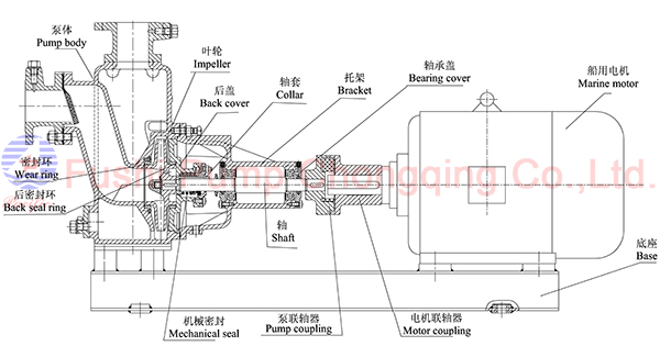 cwz marine horizontal general pump structure.jpg